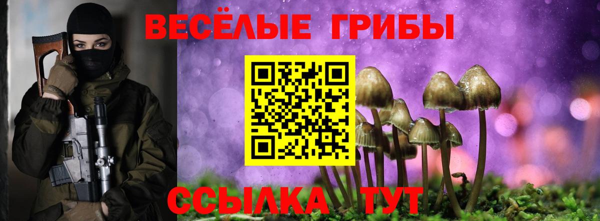 Псилоцибиновые грибы MAGIC MUSHROOMS  Вход с VPN  Галлюциногенные грибы Psilocybe  Великие Луки 